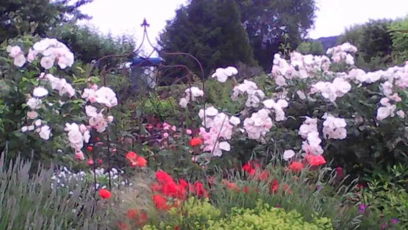 Gîtes de France® - Tout va Bien