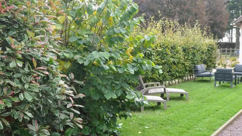 Le Clos du Manoir