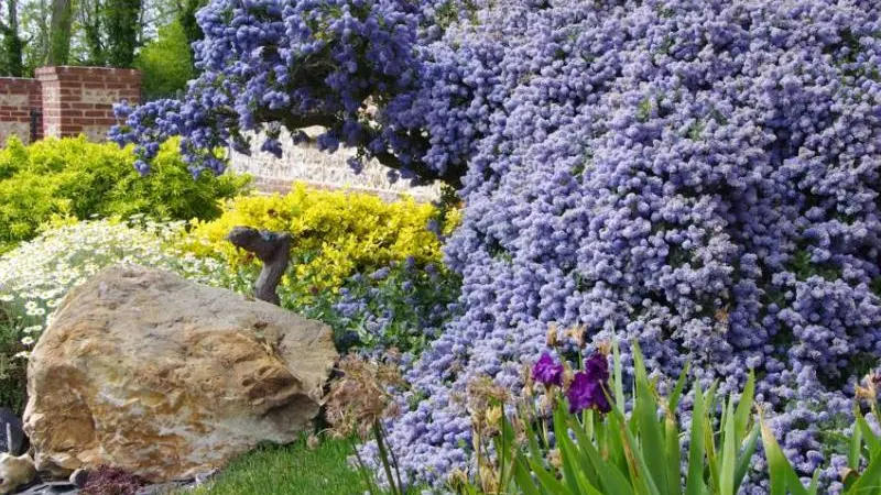 Gîtes de France® - Pomme Chocolat