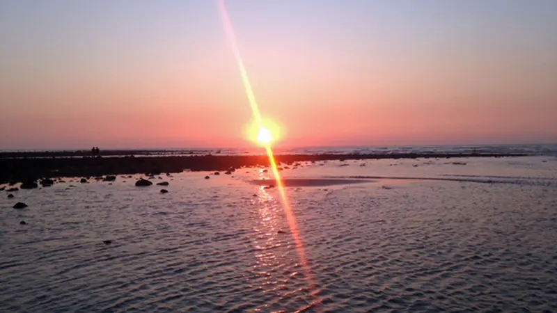 La Petite Maison - Tiny House