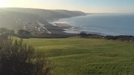 La Petite Maison - Tiny House
