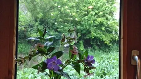 La Petite Maison - Tiny House