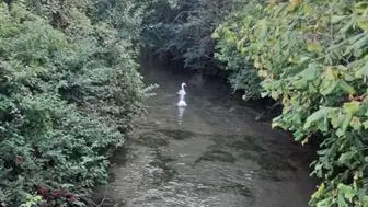 La Suite du Lac