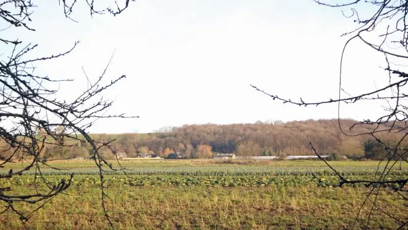 La Suite du Lac