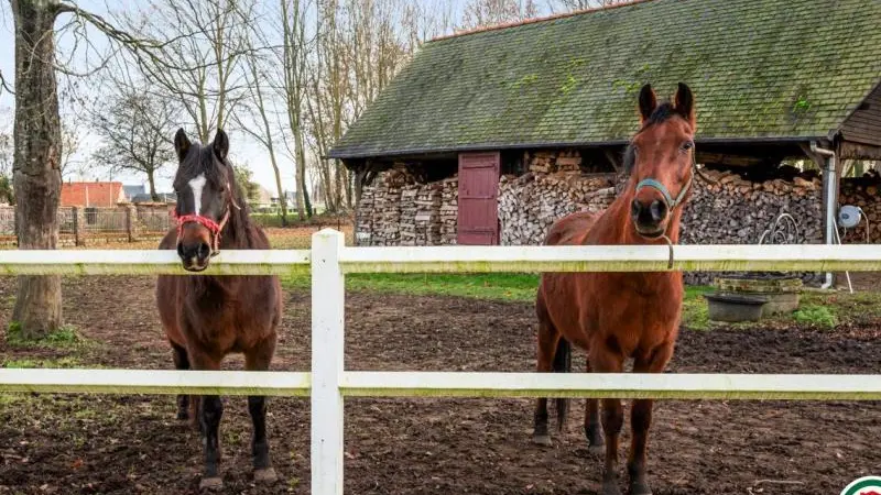 Gîtes de France® - Gîte de Beaufournier