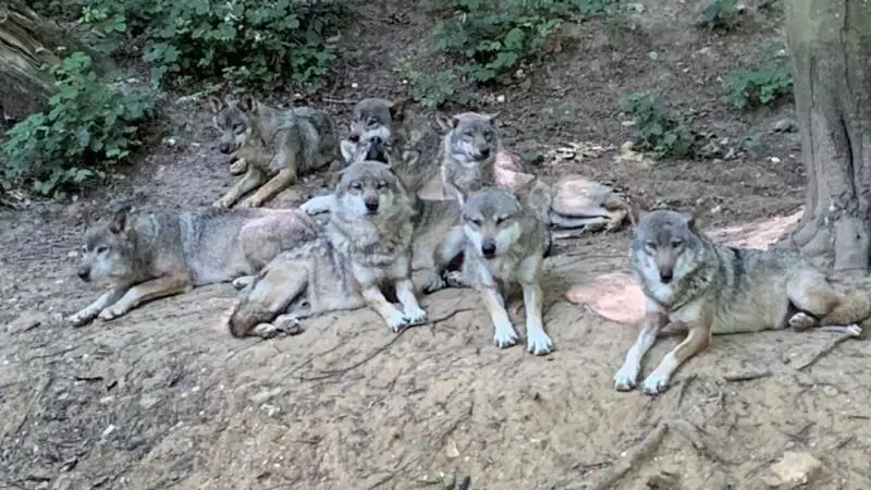 Gîtes de France® - Le Bourgueil