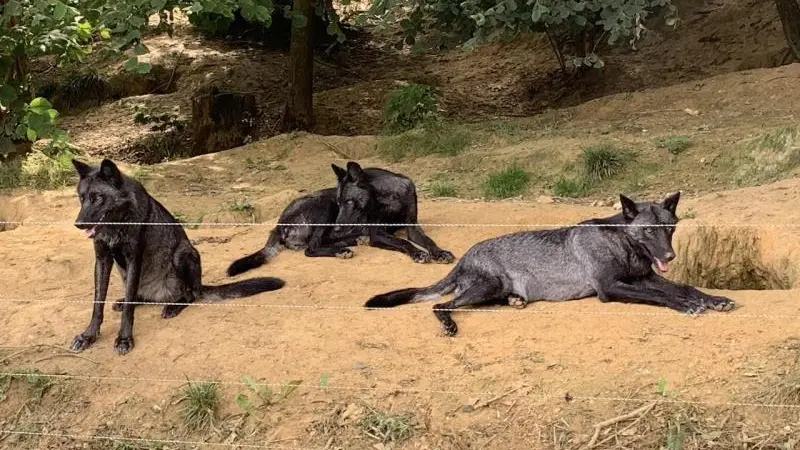 Gîtes de France® - Le Bourgueil