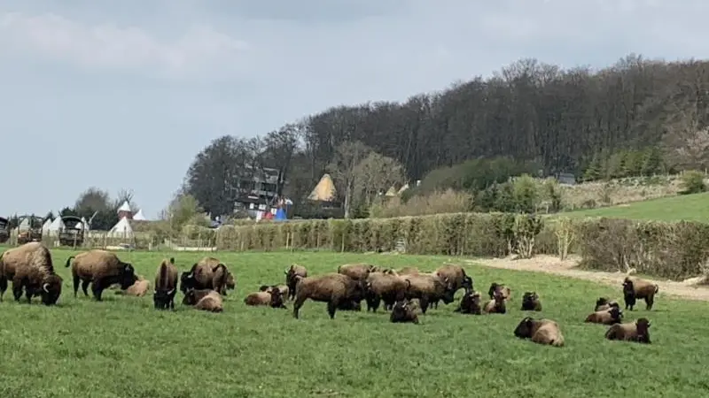 Gîtes de France® - Le Bourgueil