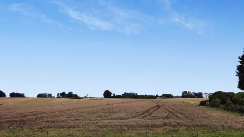 Les Hêtres
