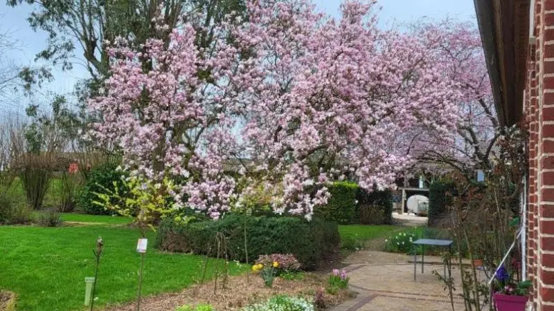 Gîtes de France® - Coquelicot