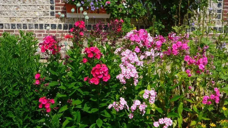 Gîtes de France® - Coquelicot