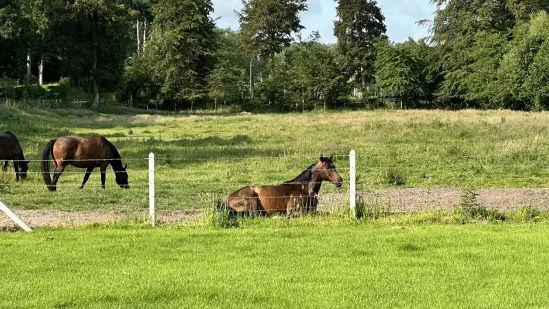 Gîtes de France® - Le Gîte du Moulin