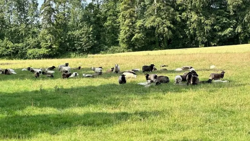 Gîtes de France® - Le Gîte du Moulin