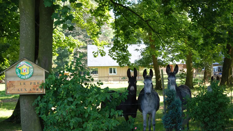 Gîtes de France® - Le Pré aux Anes