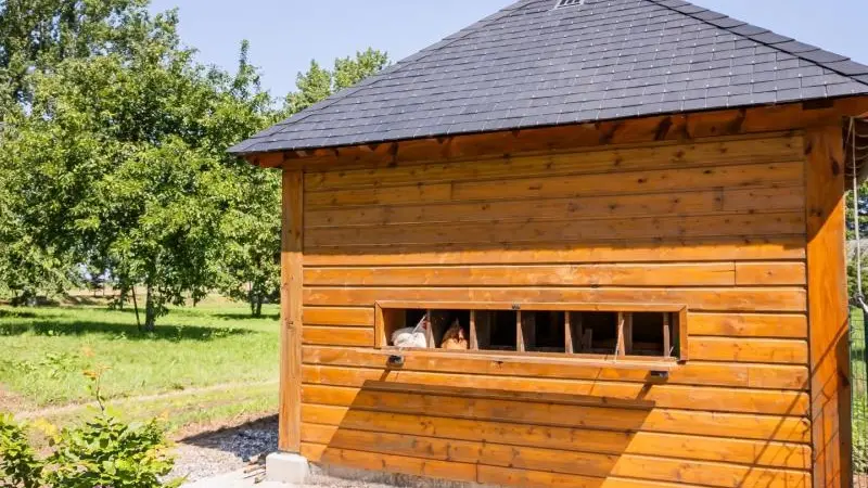 Colombier de Caux