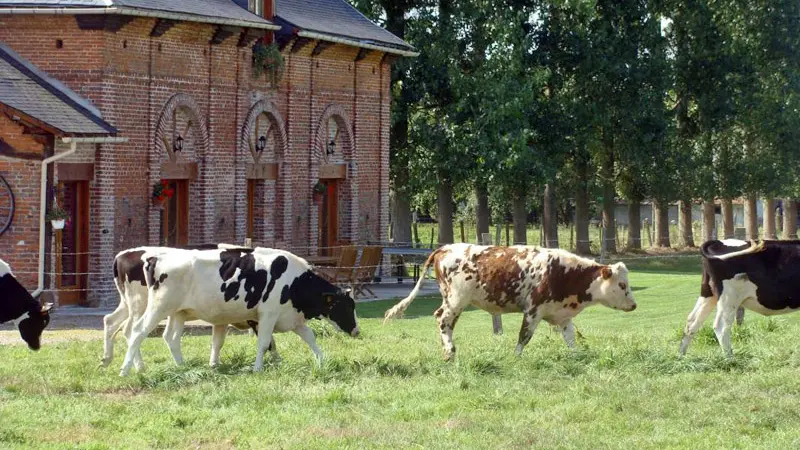 La Loge du Charretier