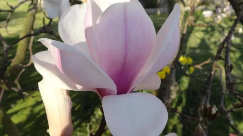 Gîtes de France® - La Rive