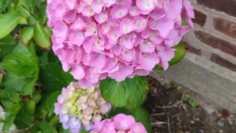 Gîtes de France® - La Rive