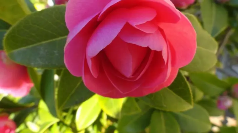 Gîtes de France® - La Rive