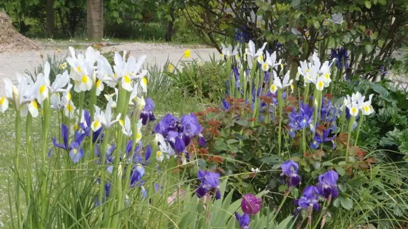 Gîtes de France® - La Rive