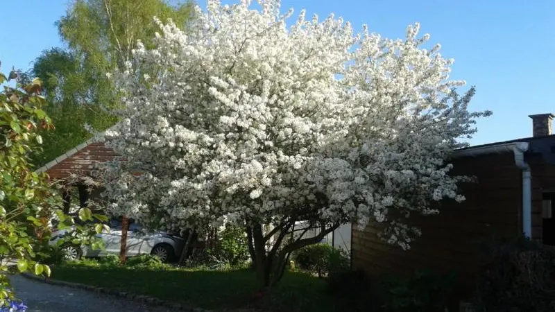 Gîtes de France® - La Rive