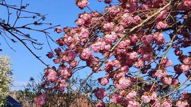 Gîtes de France® - La Rive