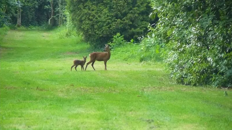 Gîtes de France® - Four à Pain