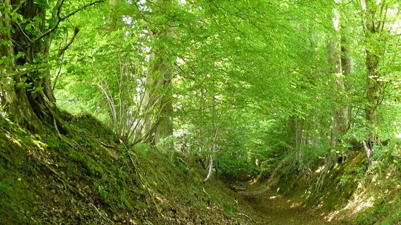 Gîtes de France® - Four à Pain