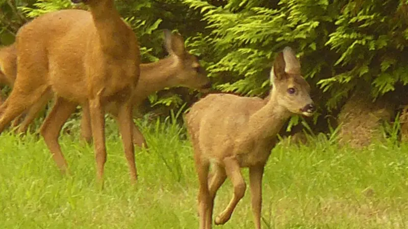 Gîtes de France® - Four à Pain