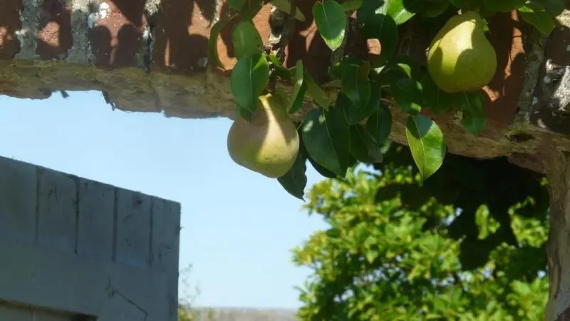 La Ferme Manoir