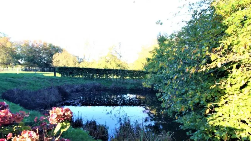 Le Mesnilvasse