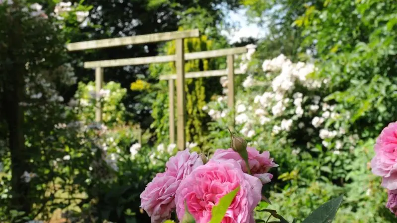 Gîtes de France® - Au Temps des Buis