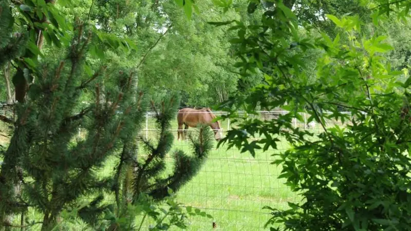 Gîtes de France® - Au Temps des Buis