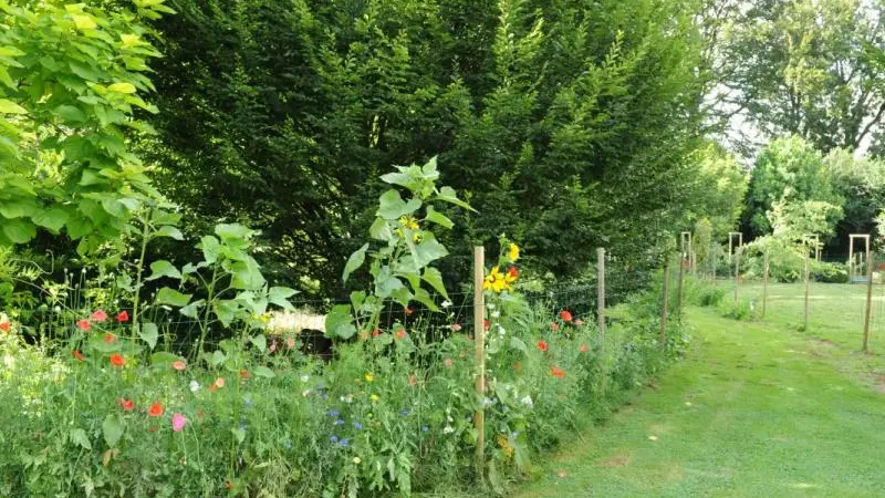 Gîtes de France® - Au Temps des Buis