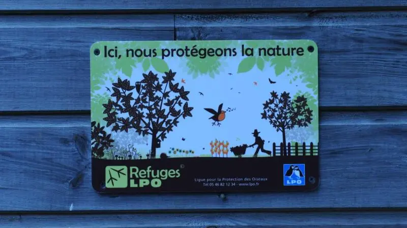 Au Temps des Buis