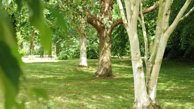 Gîtes de France® - Au Temps des Buis