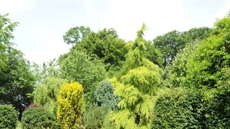 Gîtes de France® - Au Temps des Buis