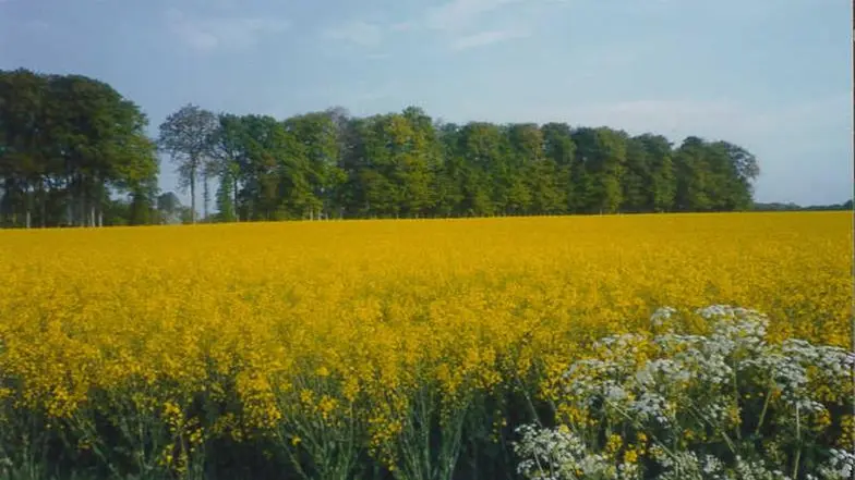 La Buissonnière