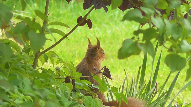 Gîtes de France® - Le Verger