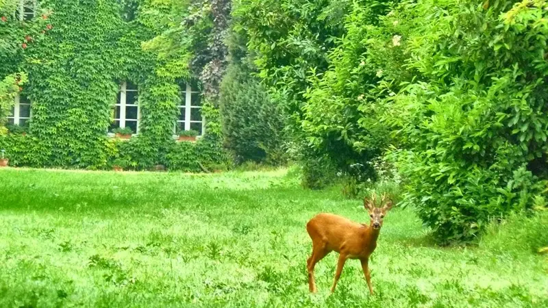 Gîtes de France® - Le Verger