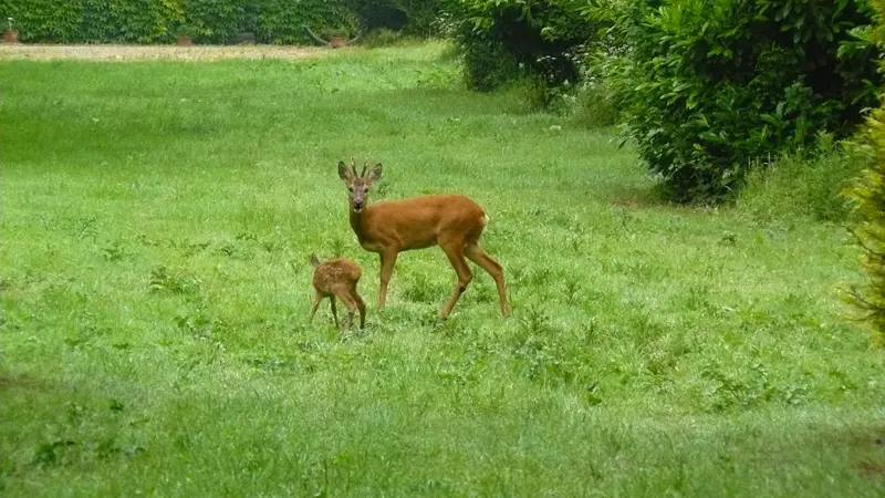 Gîtes de France® - Le Verger