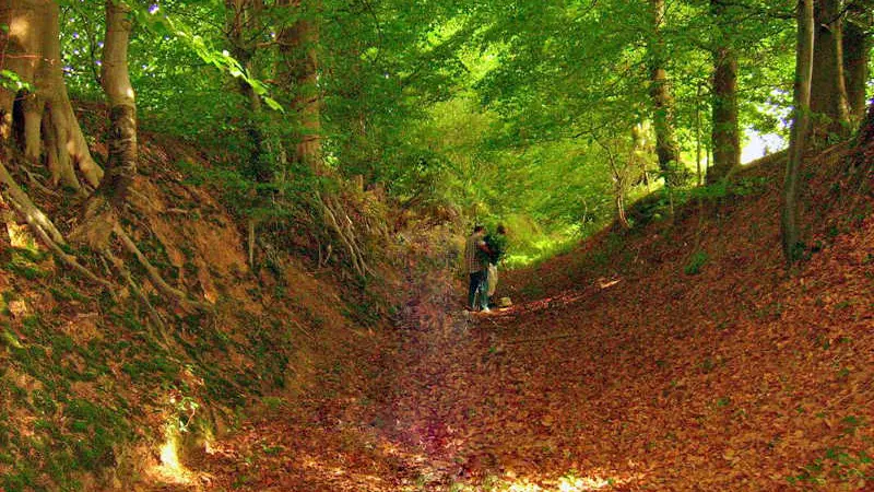 Gîtes de France® - Le Verger