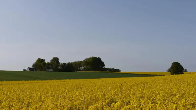 Gîtes de France® - Les Côtières