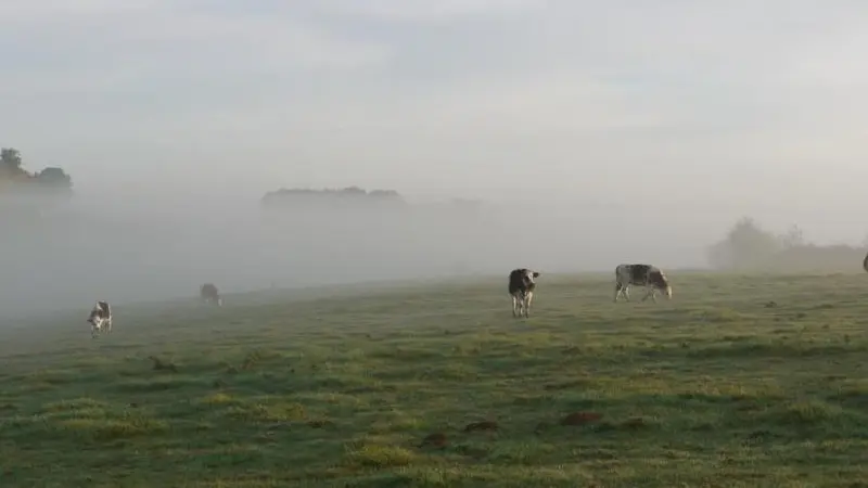 Gîtes de France® - Les Côtières