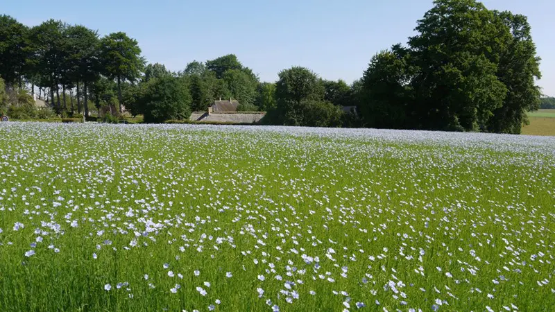 Gîtes de France® - Les Côtières