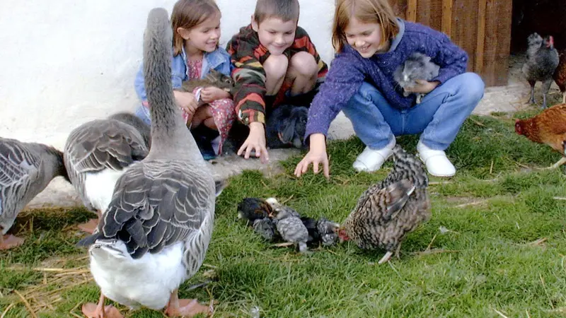 Gîtes de France® - L'Arbalète