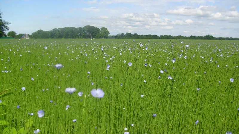 Gîtes de France® - Les Rhododendrons