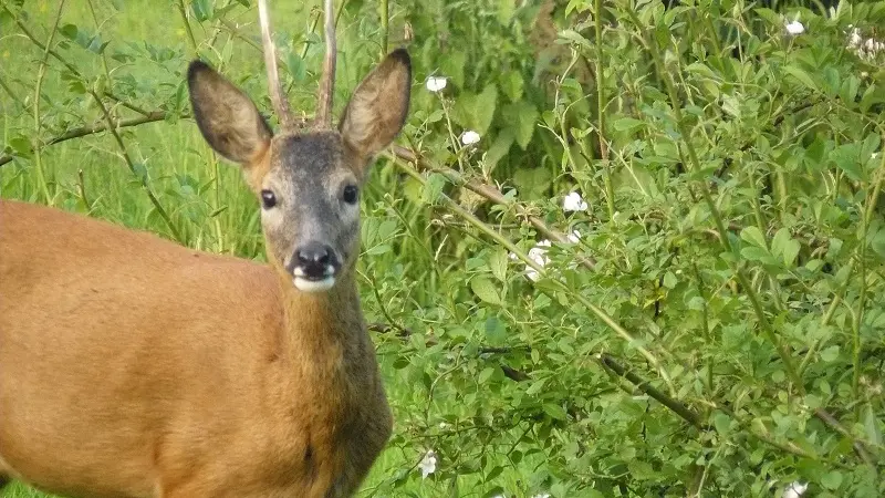 Gîtes de France® - Le Refuge
