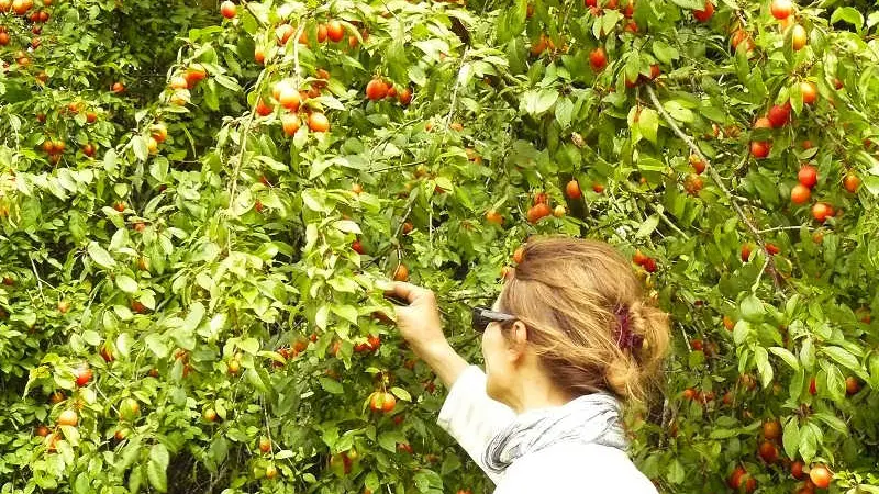 Gîtes de France® - Le Refuge