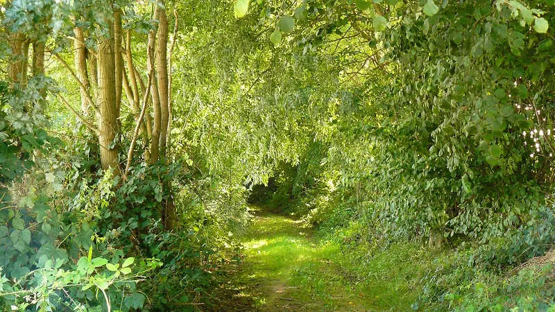 Gîtes de France® - Le Refuge